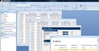 MS Access software